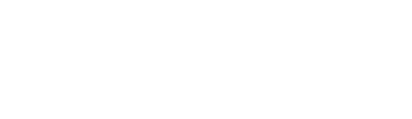 Logo White